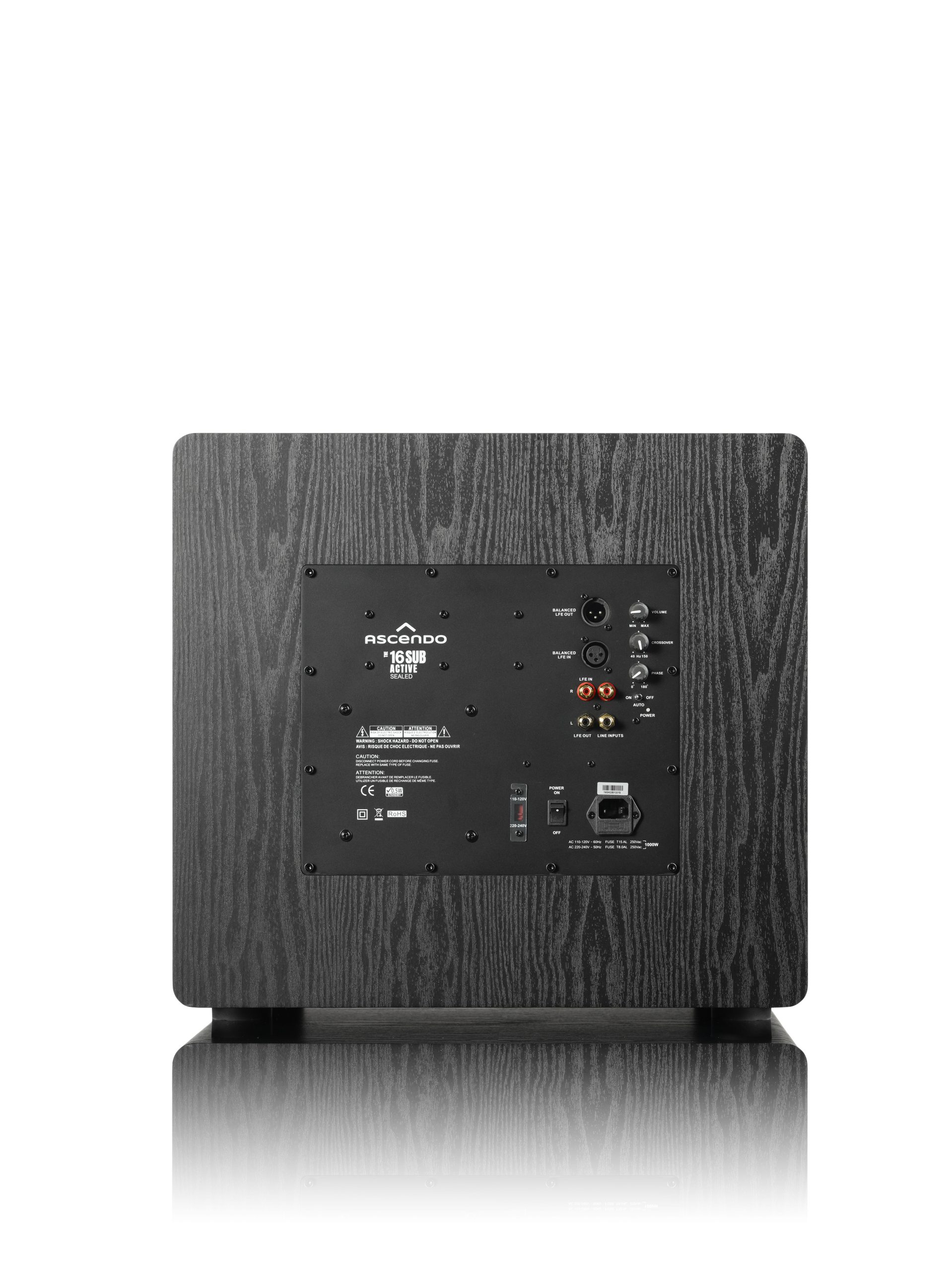 Ascendo THE16 16" Active subwoofer Rear Picture