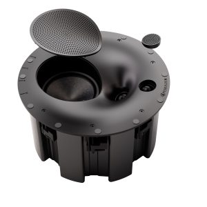 Perlisten R3ic In-Ceiling