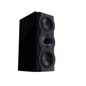 Perlisten R5m MONITOR