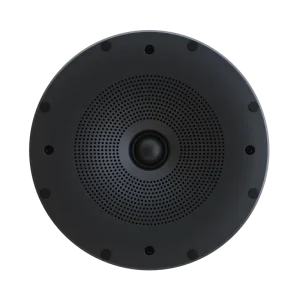 Perlisten X2ic In Ceiling Speaker
