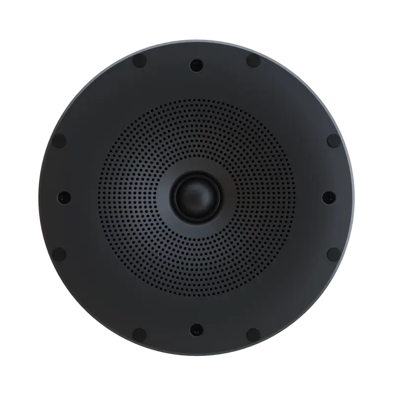 Perlisten X2ic In Ceiling Speaker