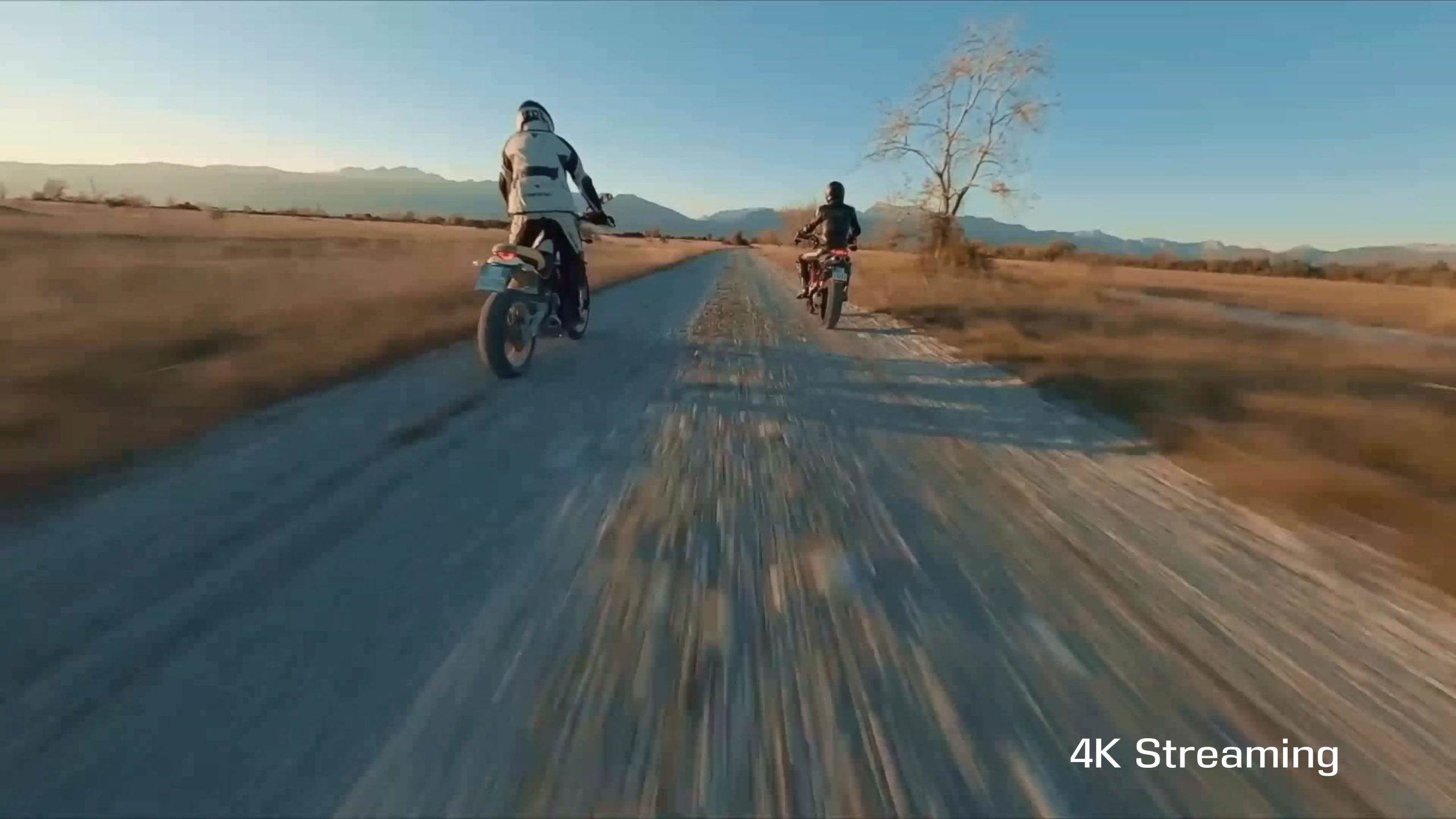 Kaleidescape Strato K Movie Player - Image 3